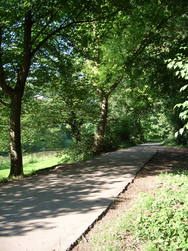 CIMG0984.JPG