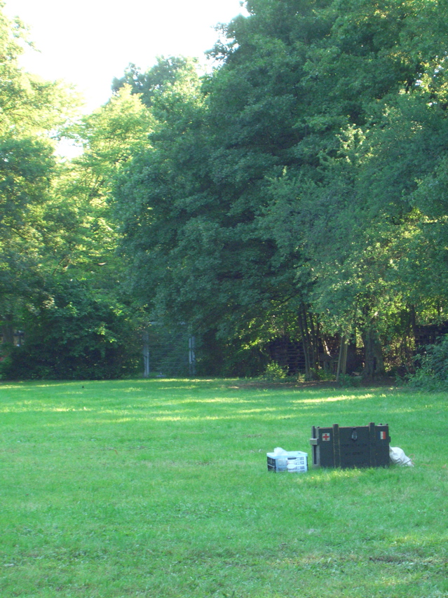 CIMG1134.JPG