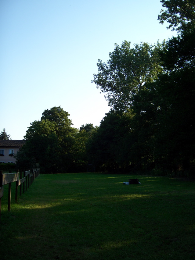 CIMG1195.JPG