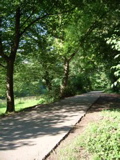 CIMG0984.JPG
