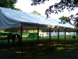 CIMG0986.JPG